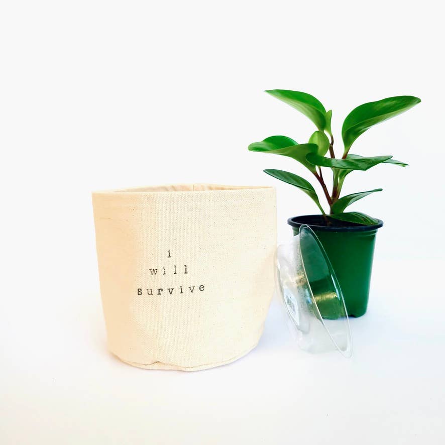 Canvas Plant Pot Cover