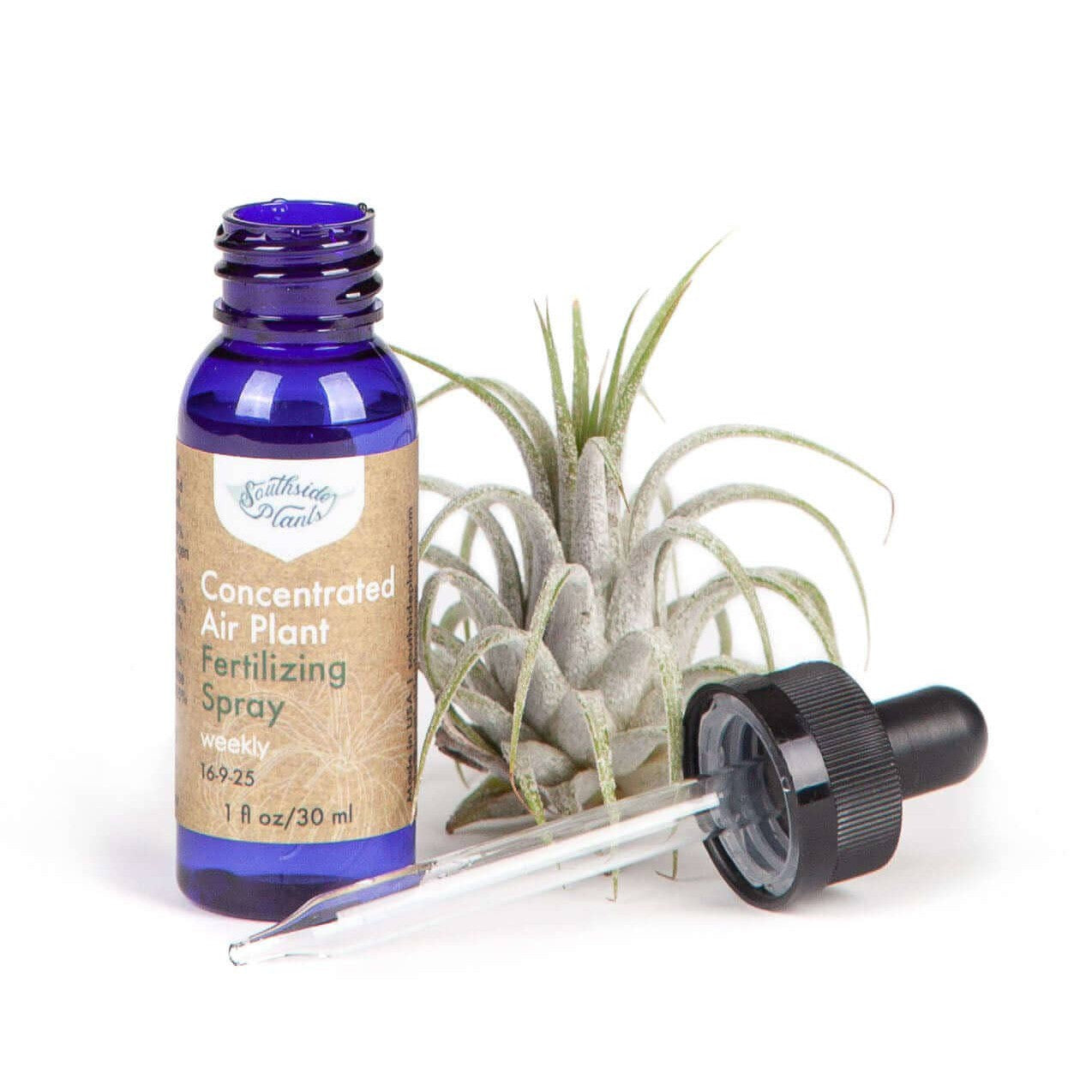 Air Plant Weekly Fertilizing Spray Concentrate