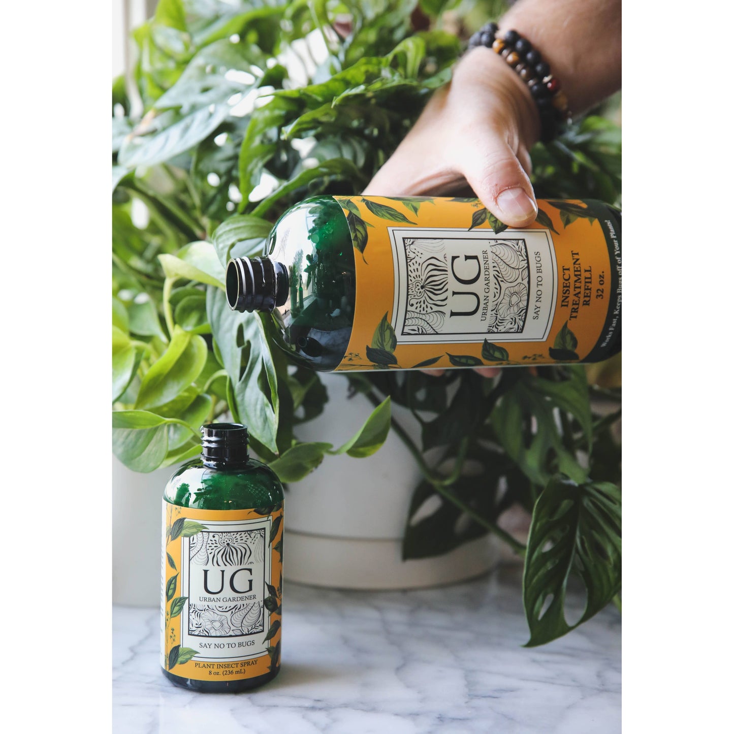 Say No To Bugs - Natural Houseplant Insect Treatment