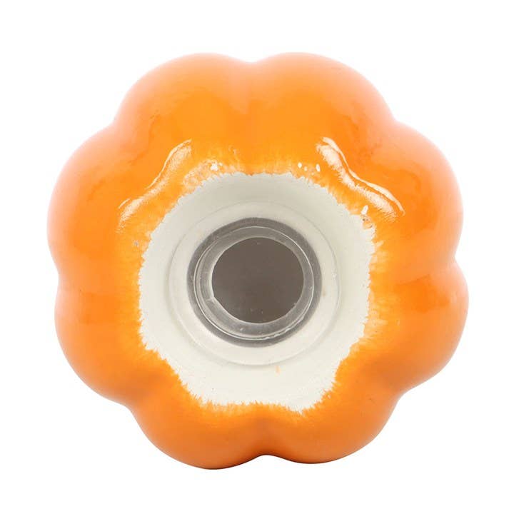 Autumn and Fall Pumpkin Salt and Pepper Shakers