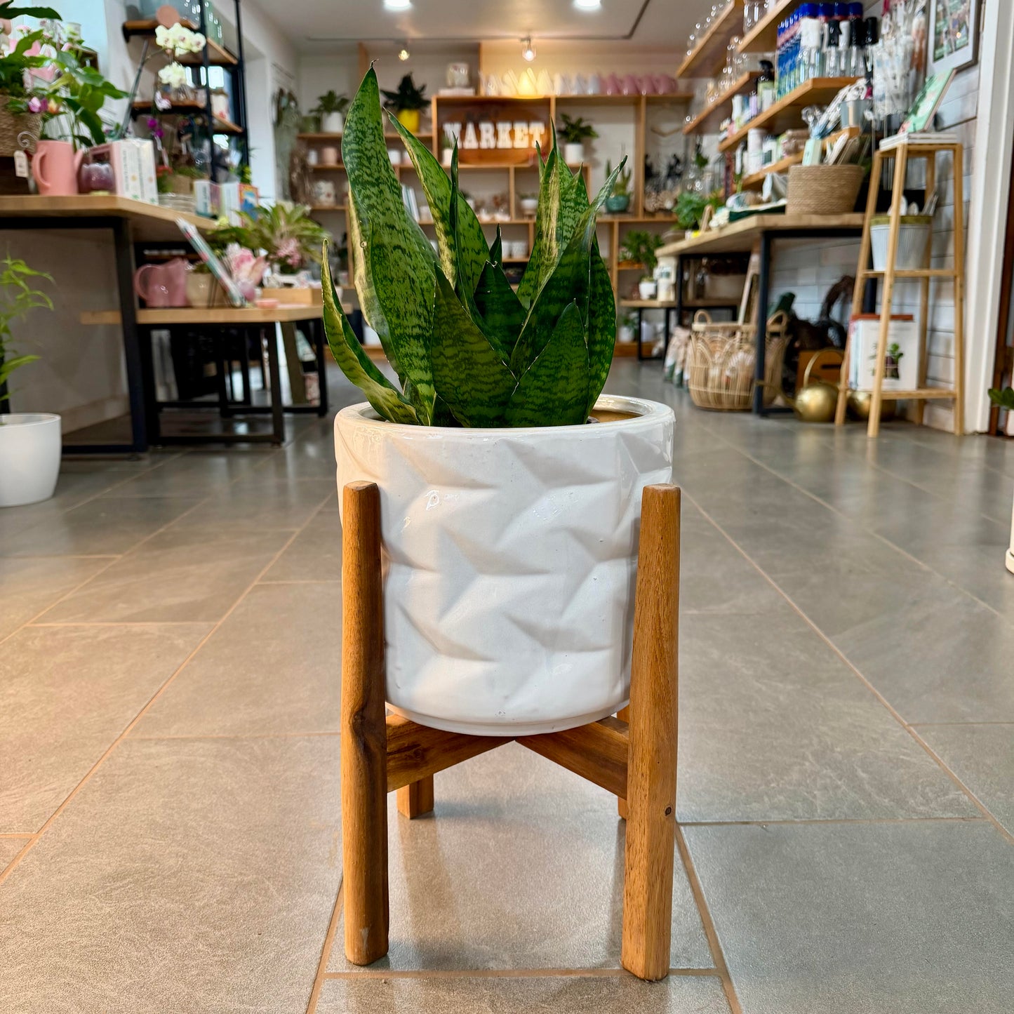Geometric Ceramic Planter with Stand