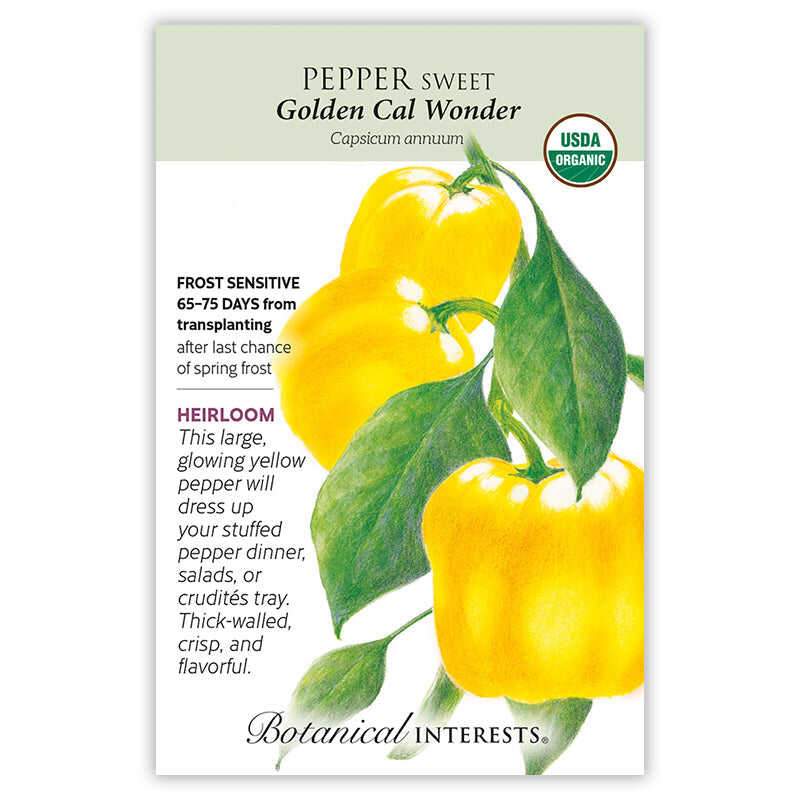 Pepper Sweet seeds 'California Wonder'