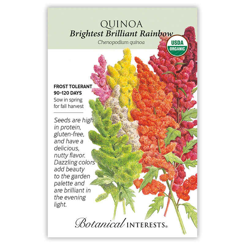 Brightest Brilliant Rainbow Quinoa