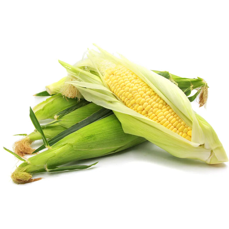 Corn, Yellow Honey Sweet, Seeds
