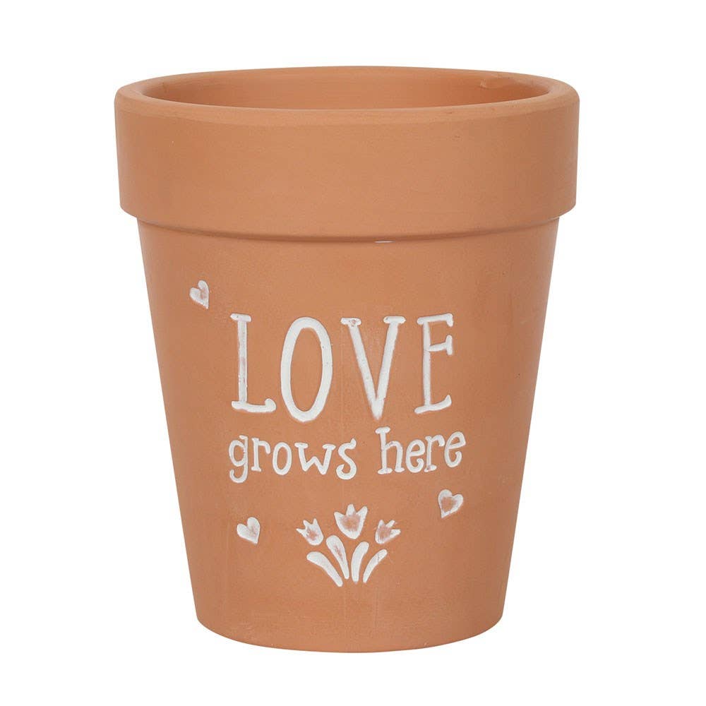plant pot engraved Something Different Bloom Where You Are Planted Terracotta Plant Pot Brown/White (17Cm x 15cm x 15Cm)