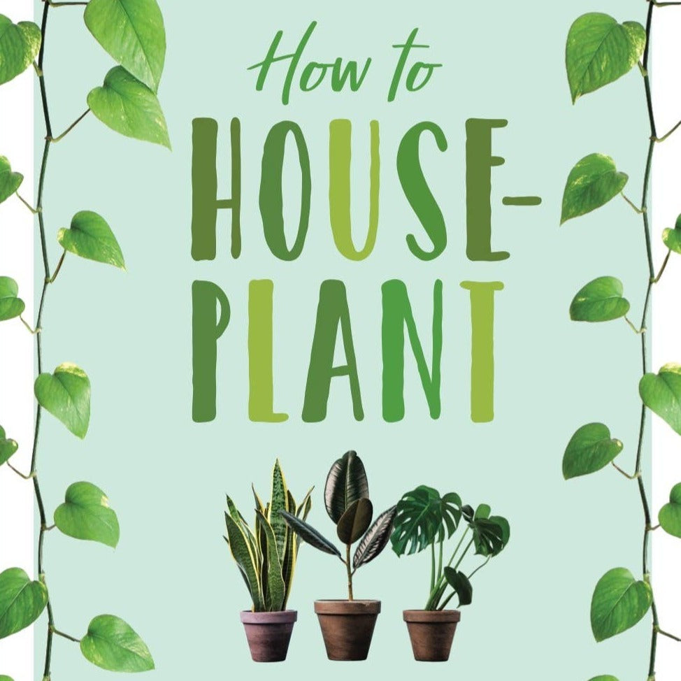 How to Houseplant by Heather Rodino