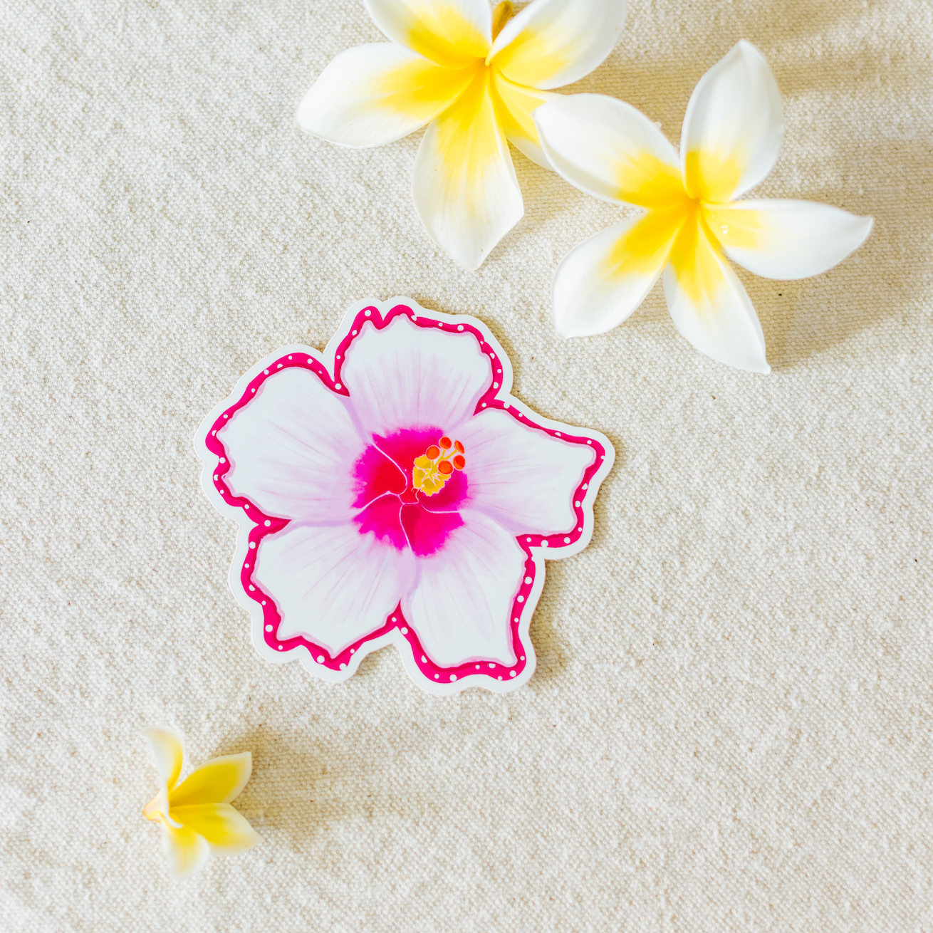 White Hibiscus Sticker