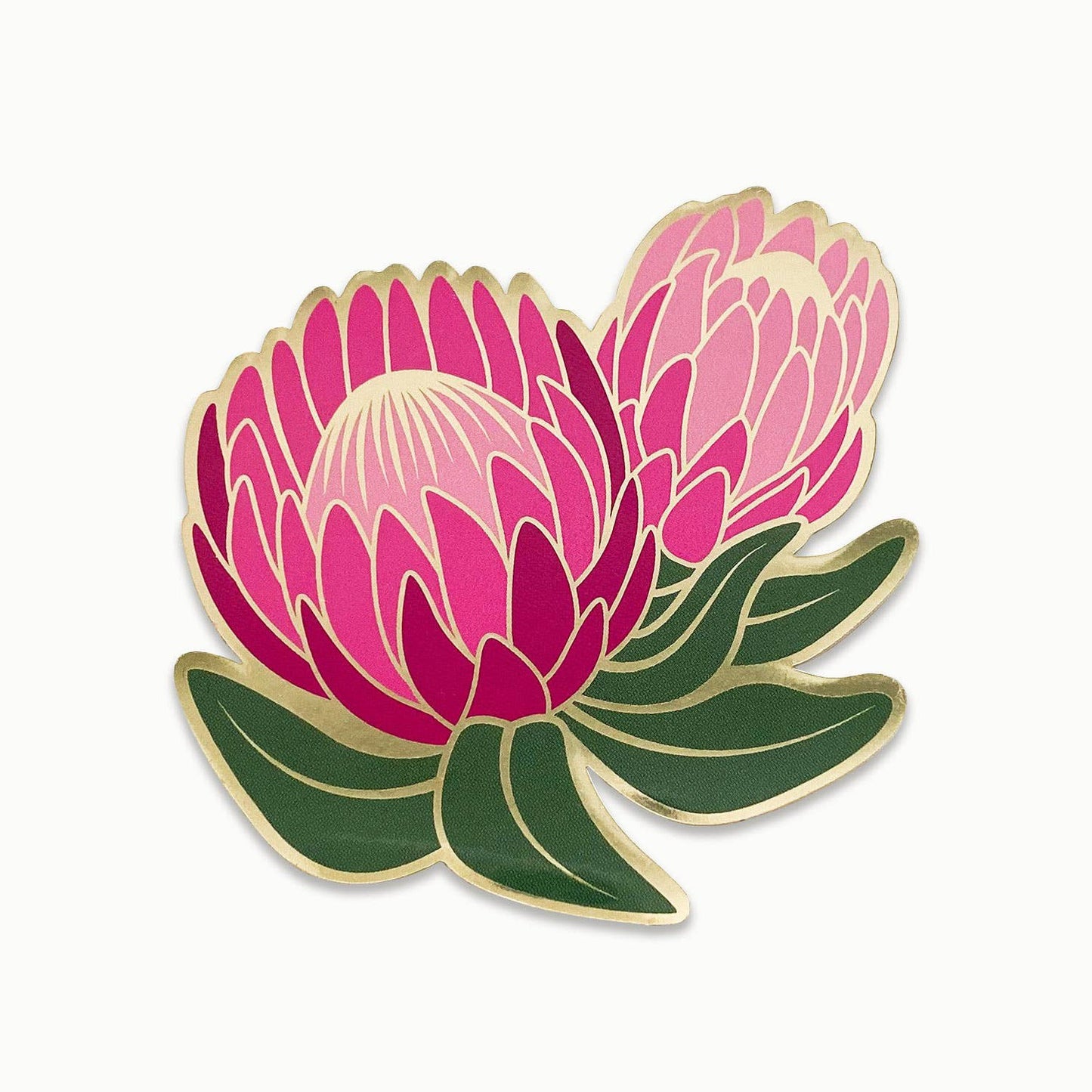 Ofelia Protea Sticker