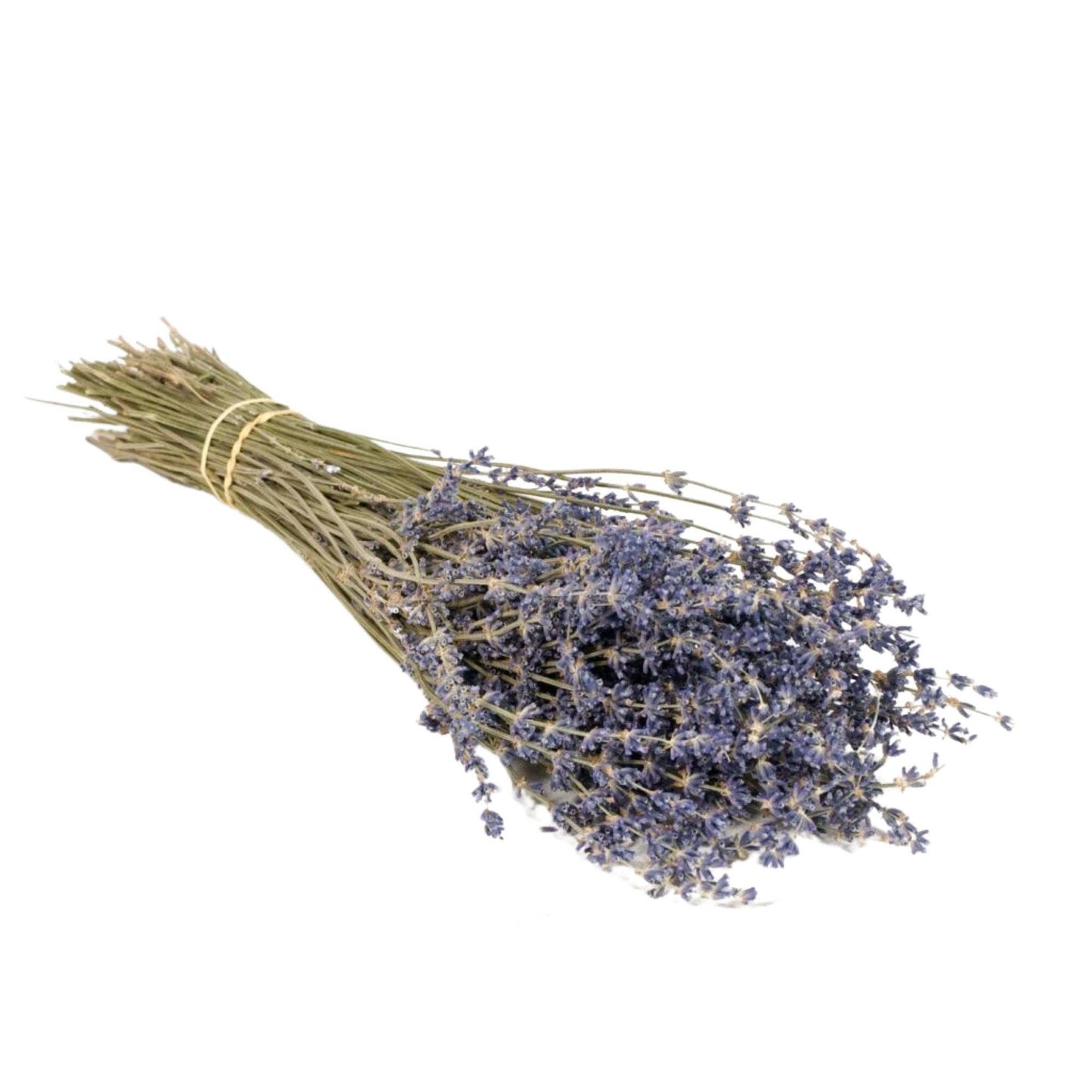 Lavender by Floriette
