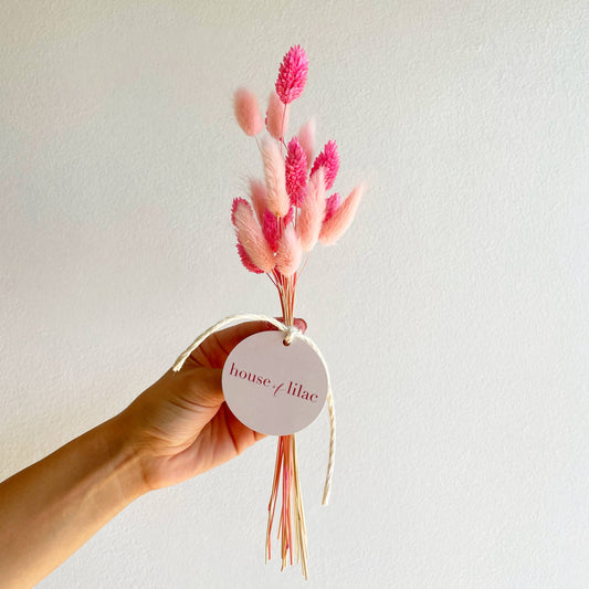 Dried Flower Bunny Tail Bundles