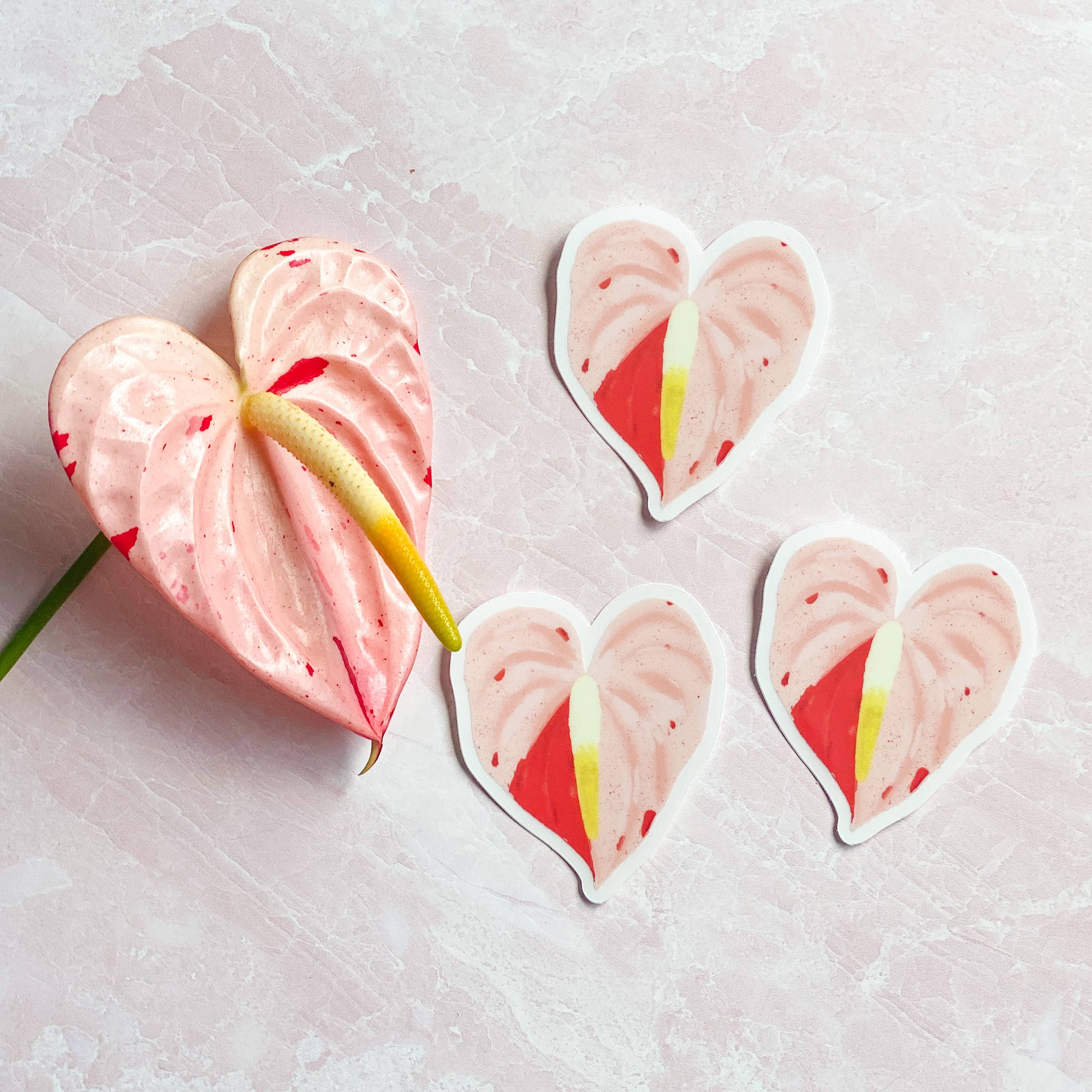 anthurium hybrid shibori Shibori Anthurium Sticker – Mari's Gardens