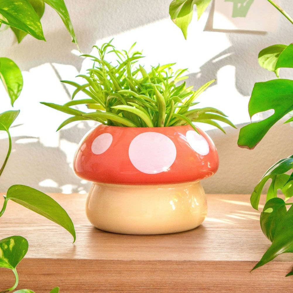 mushroom plant pot Shopzoki Mushroom Planter