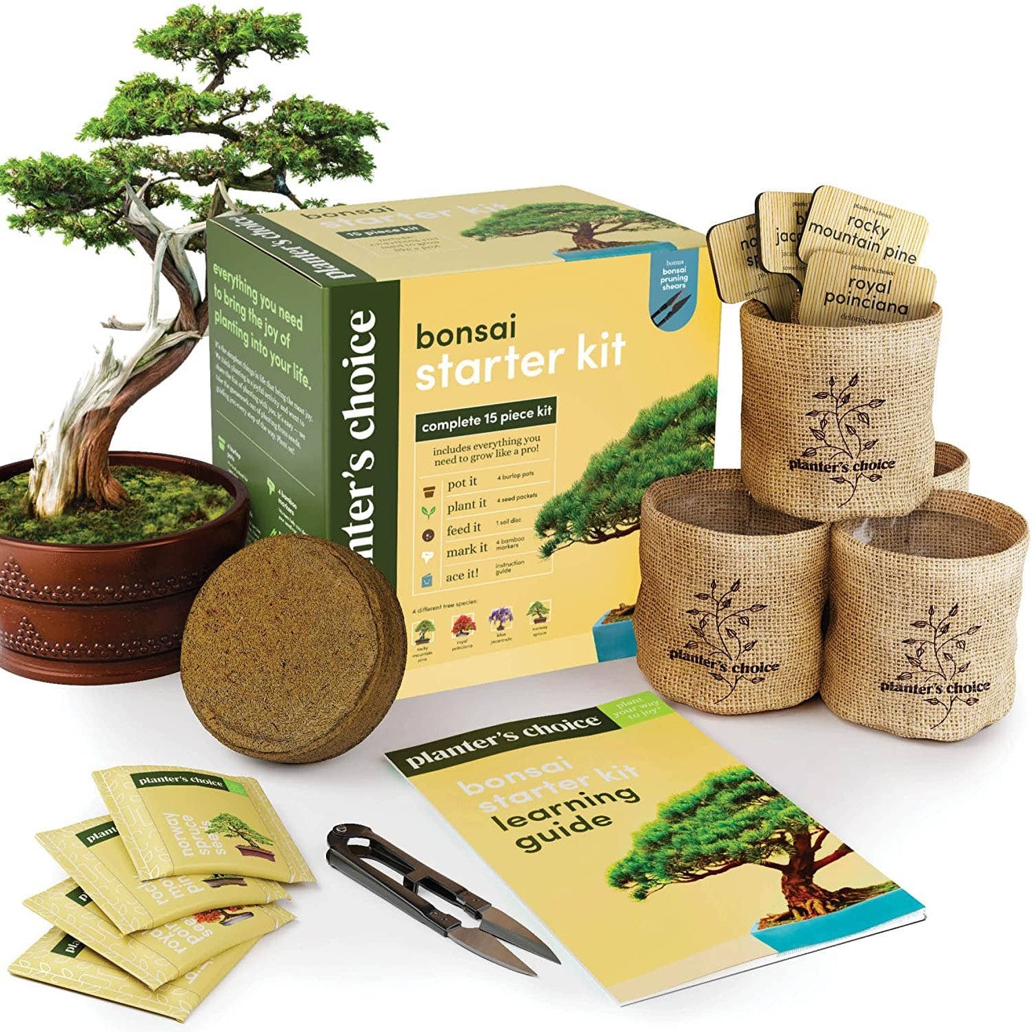 bonsai tree soil where to buy Bonsai