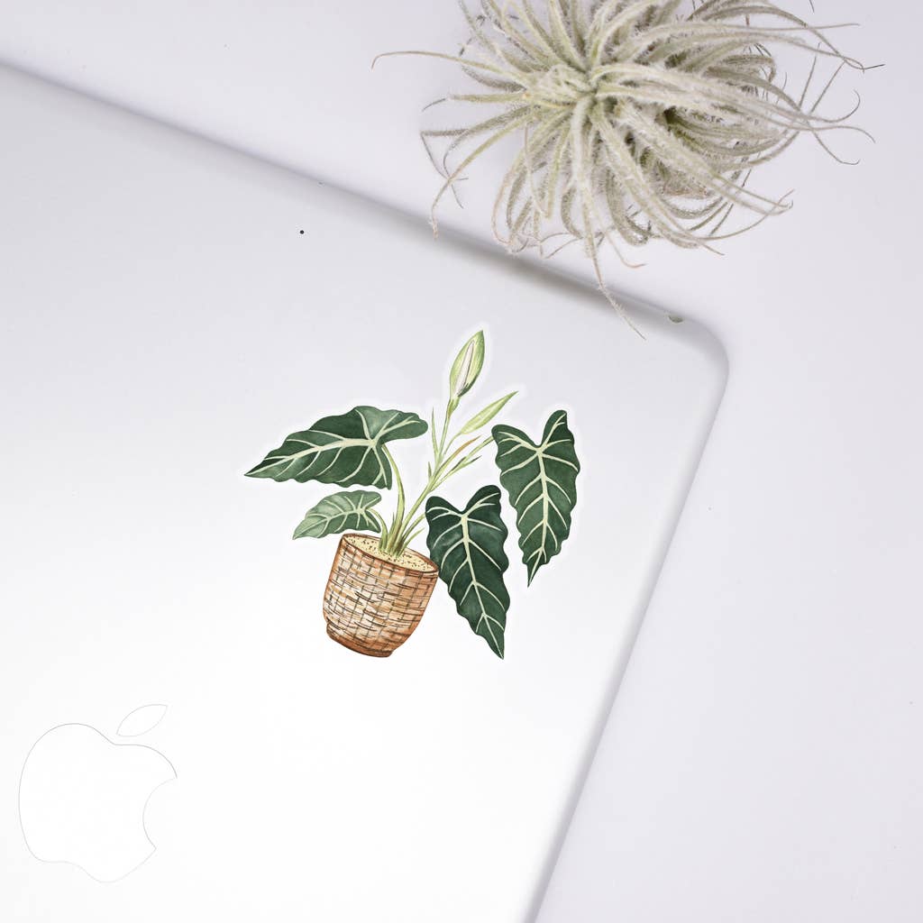 Alocasia Clear Sticker