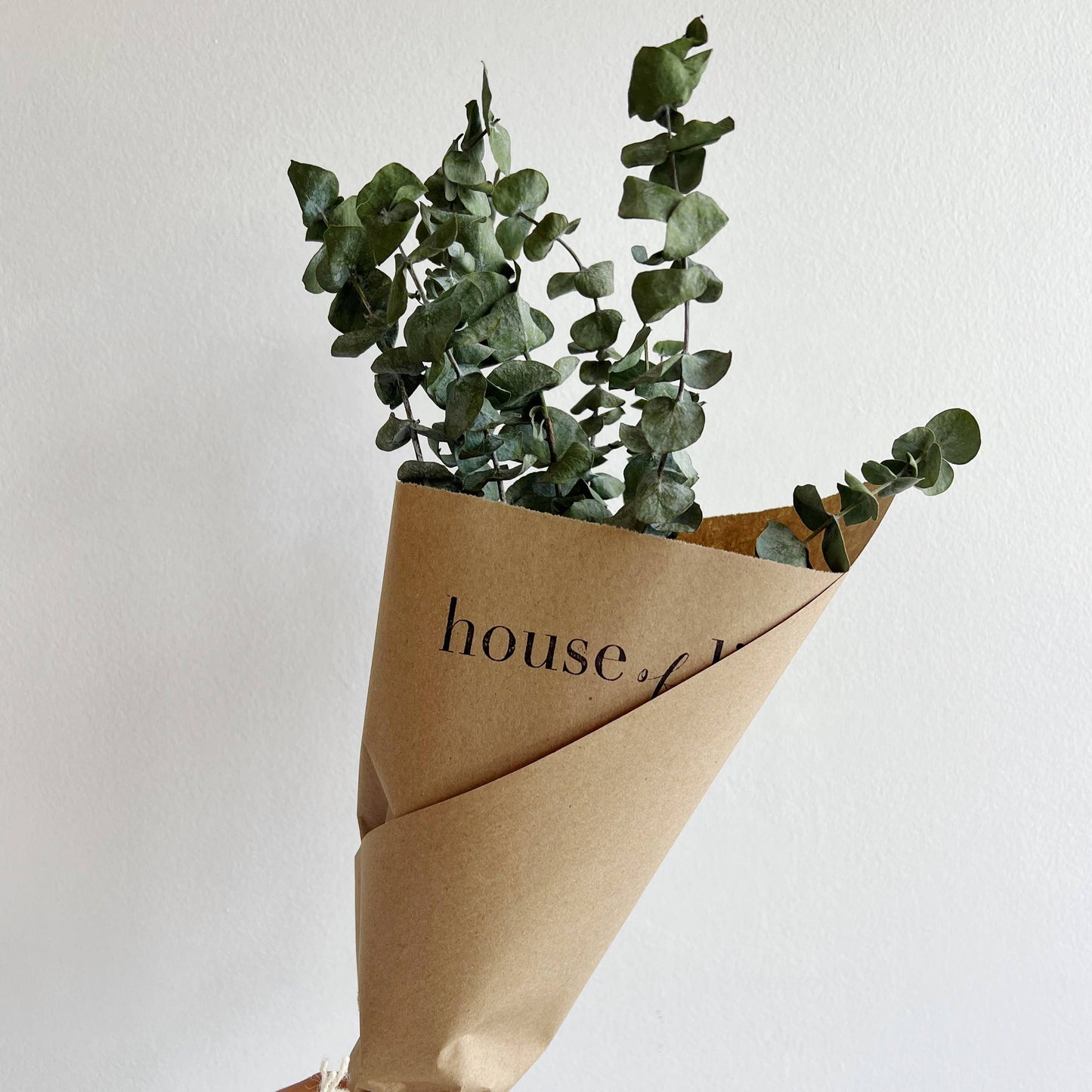 Dried Eucalyptus