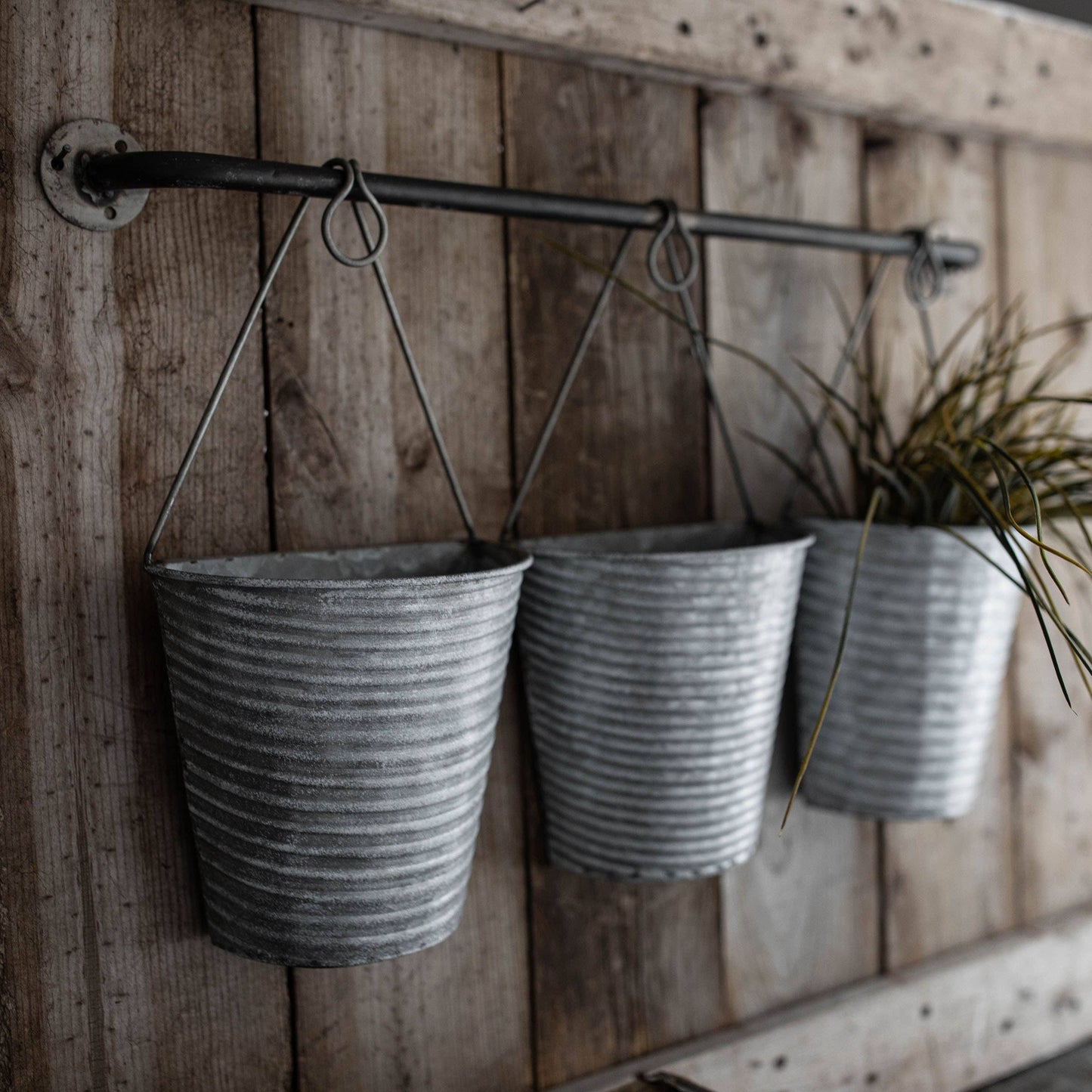 Dixie Wall Planter