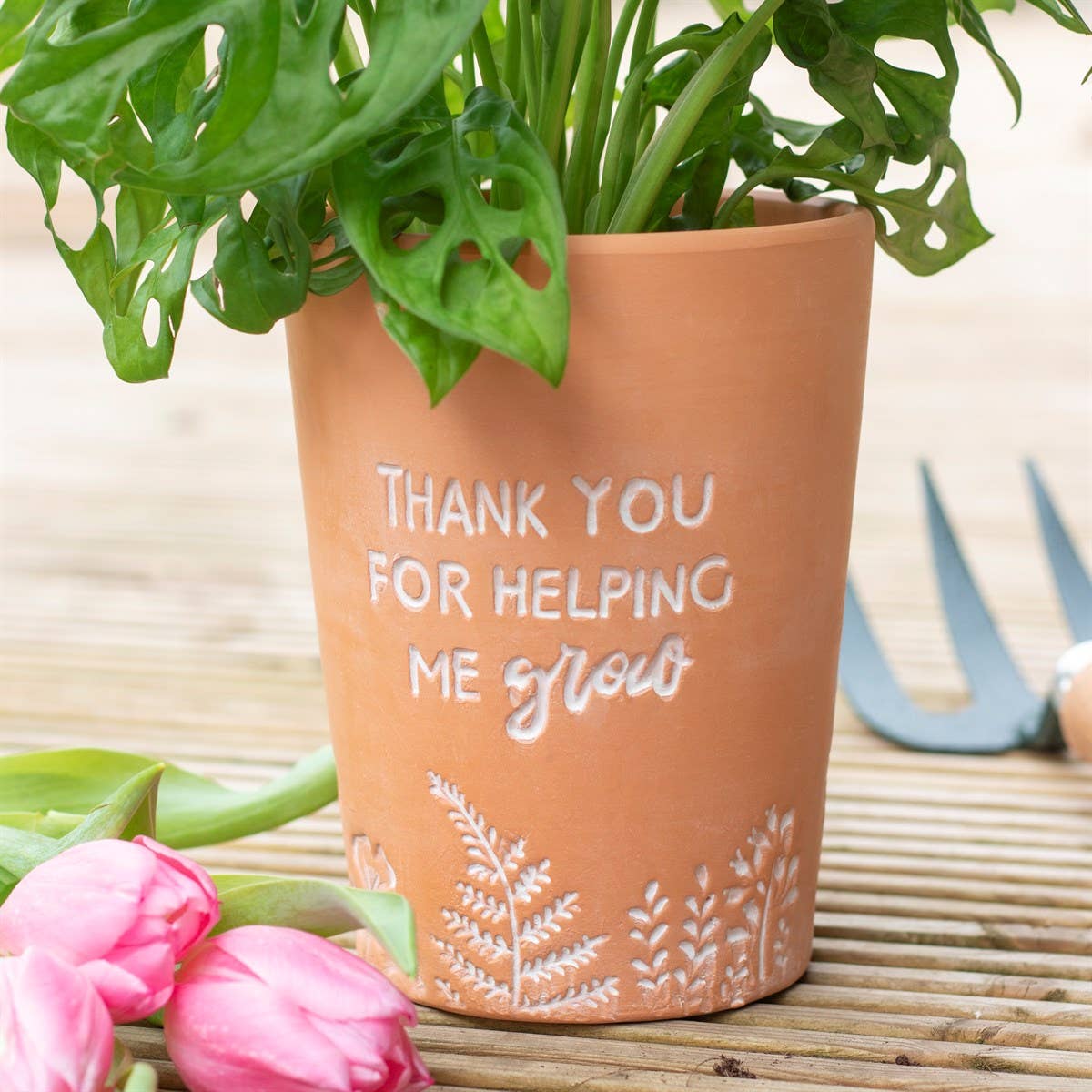 plant pot gift ideas Something Different Thank You For Helping Me Grow Terracotta Plant Pot - One Size