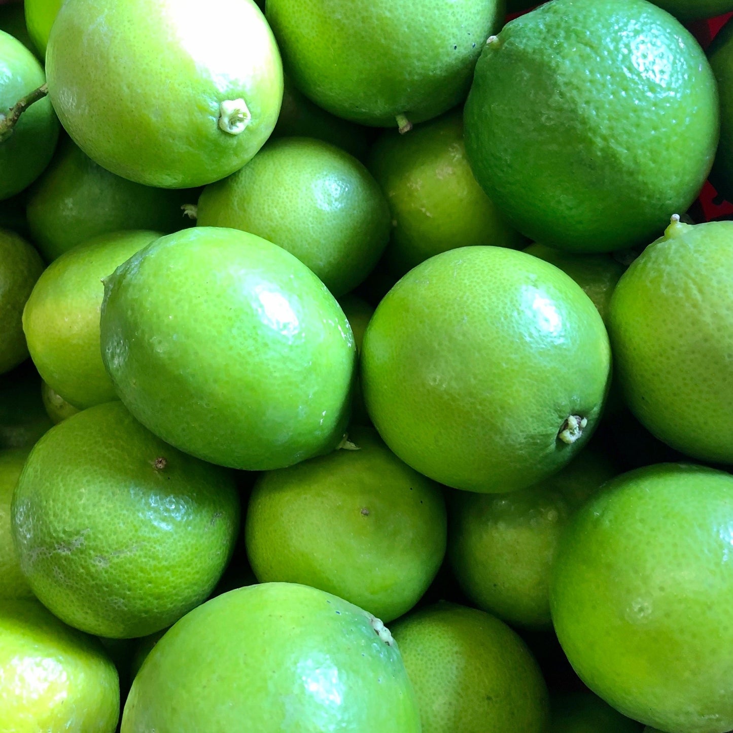 Limes