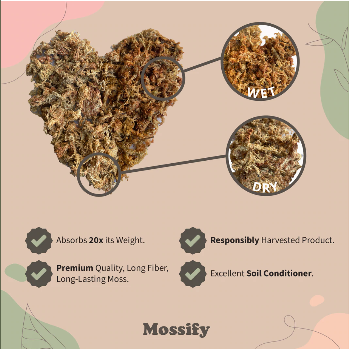 Mossify Sphagnum Moss