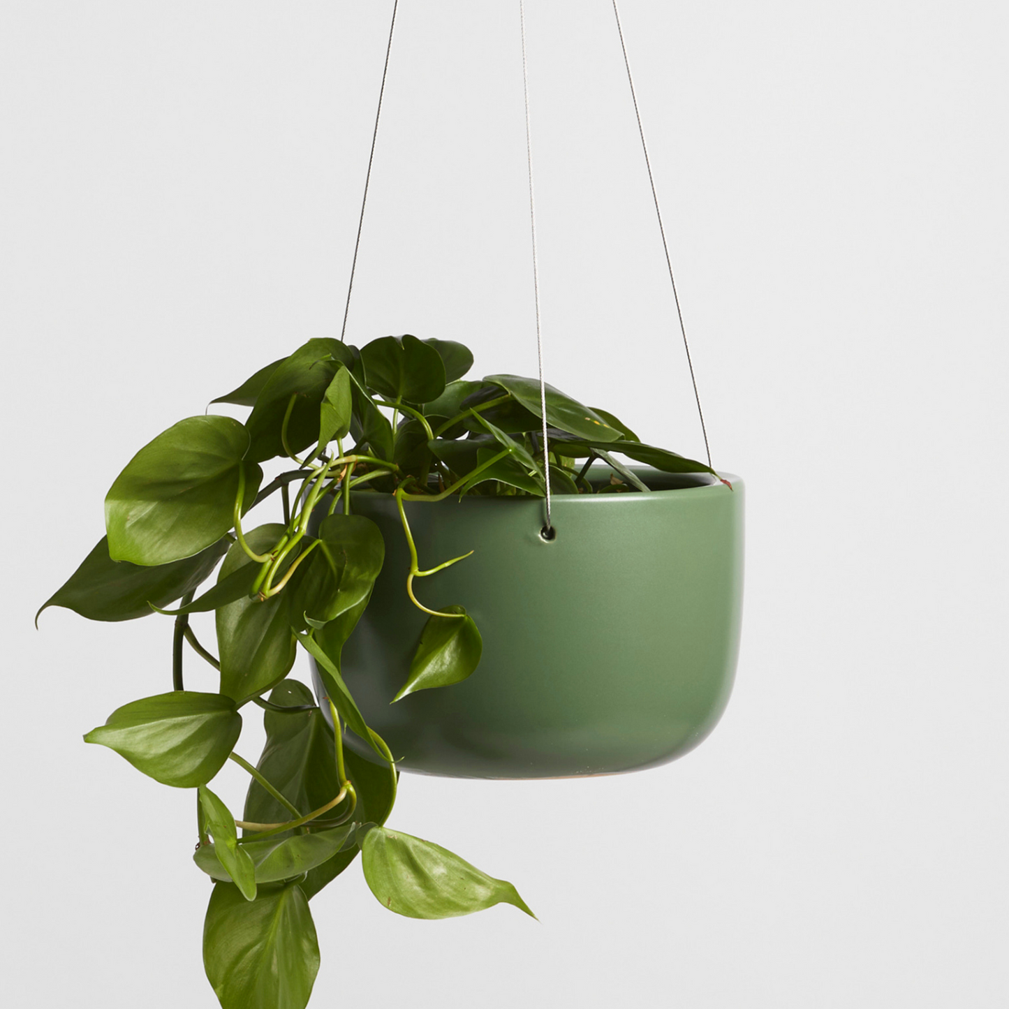 Hanging Ceramic Planter