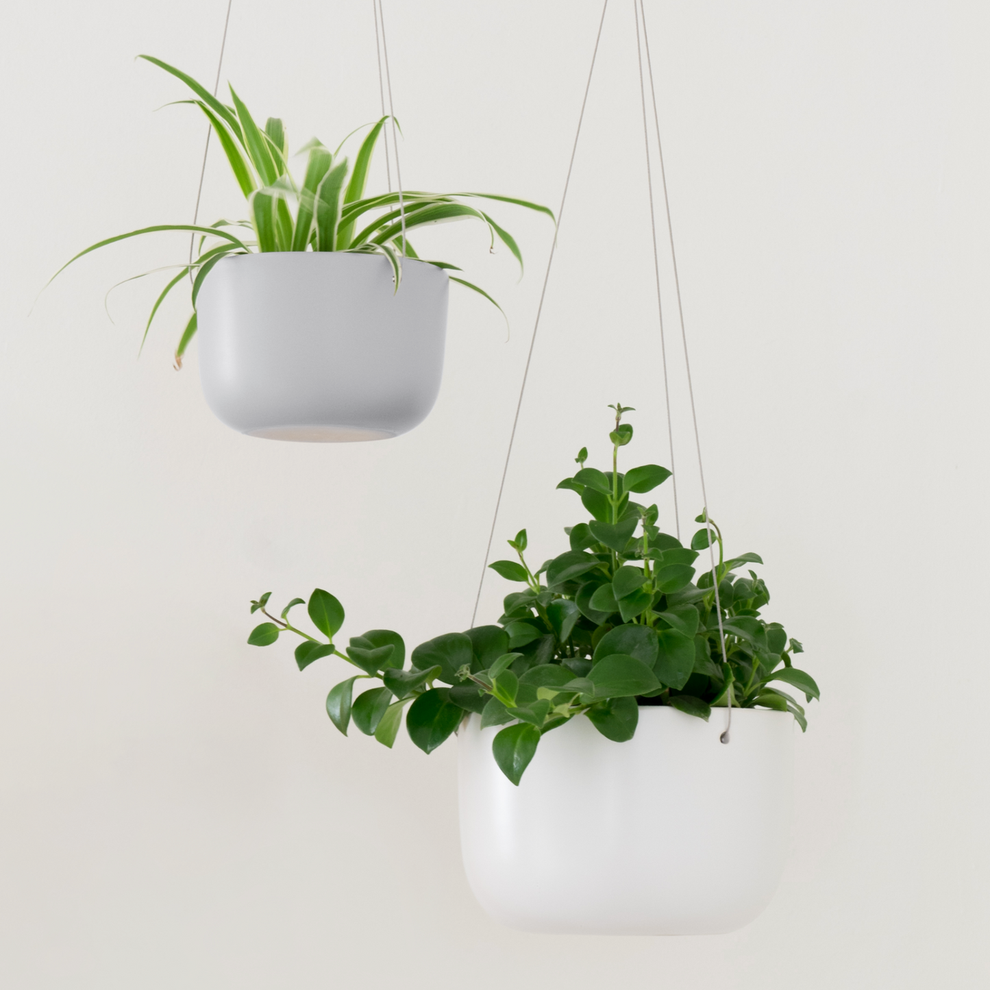 Hanging Ceramic Planter