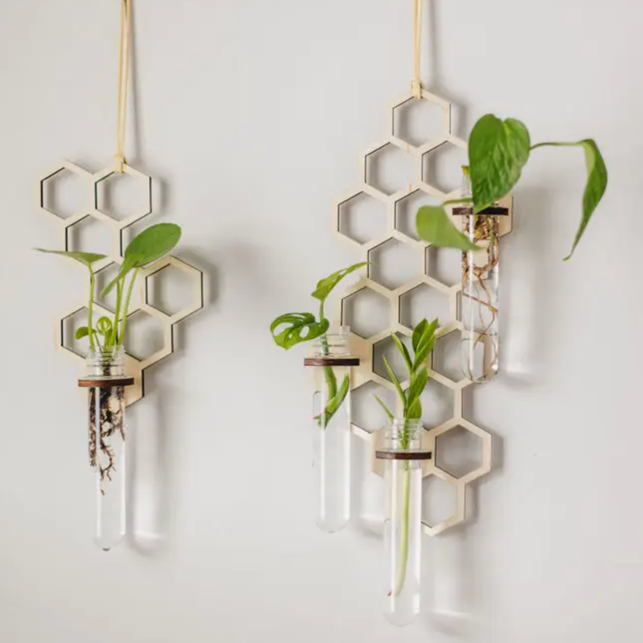 Honeycomb Hanging Propagation Station