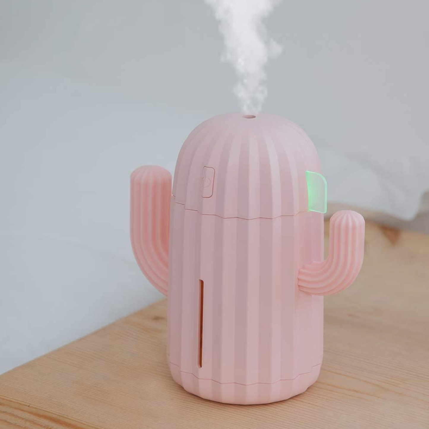 Mini Cactus Humidifier