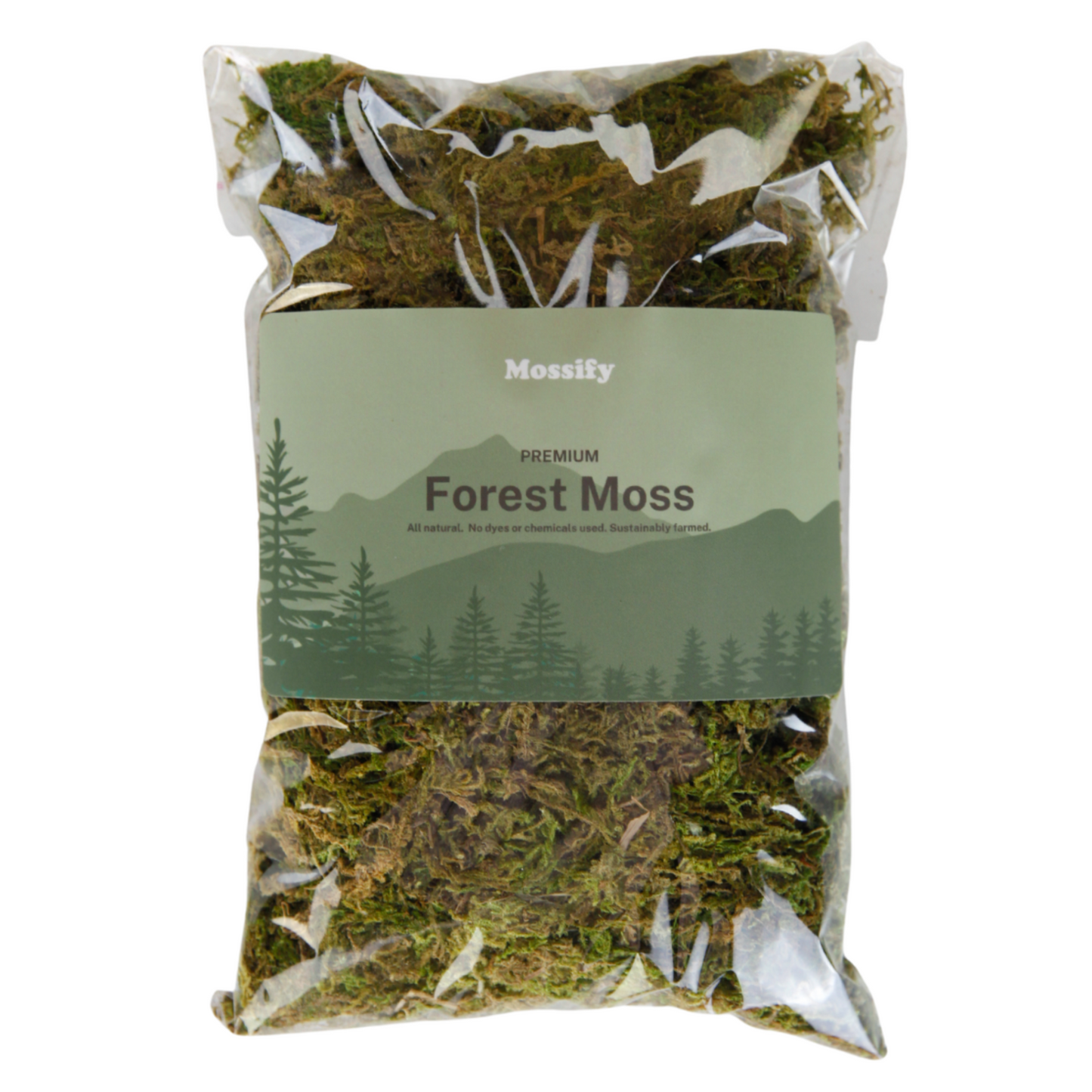Forest Moss