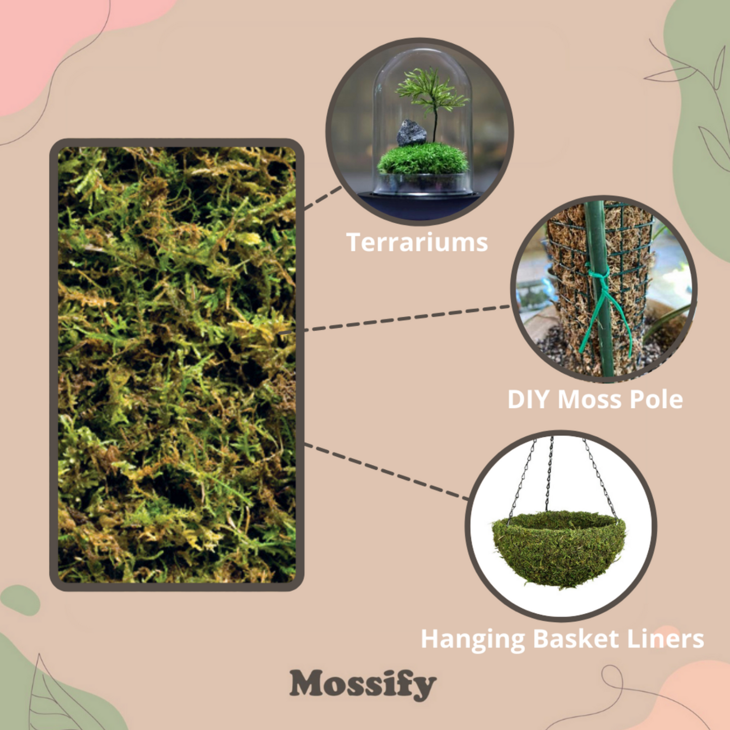 Forest Moss
