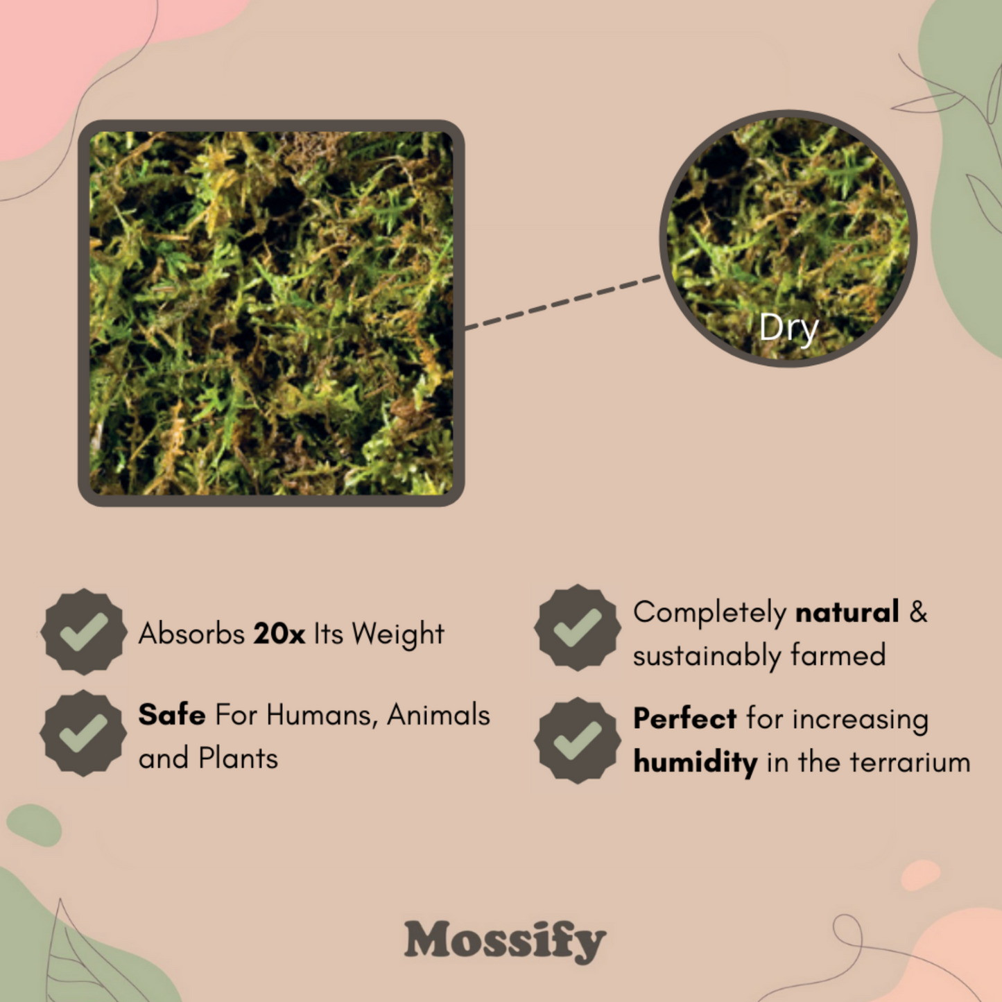 Forest Moss