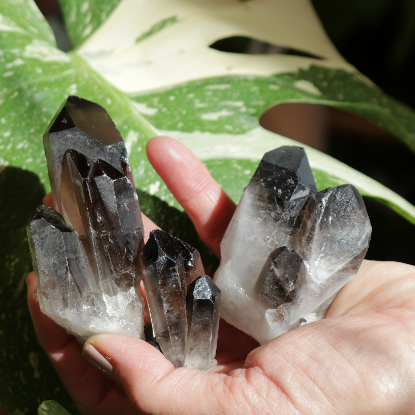 Smokey Quartz