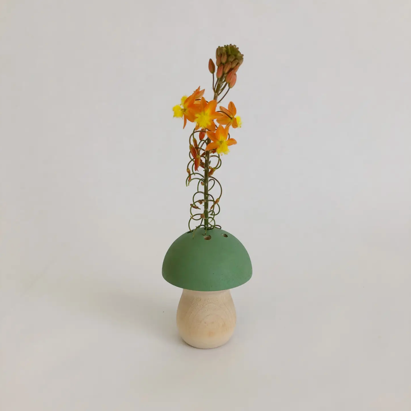 Mini Mushroom Dried Flower+ Ikebana Vase