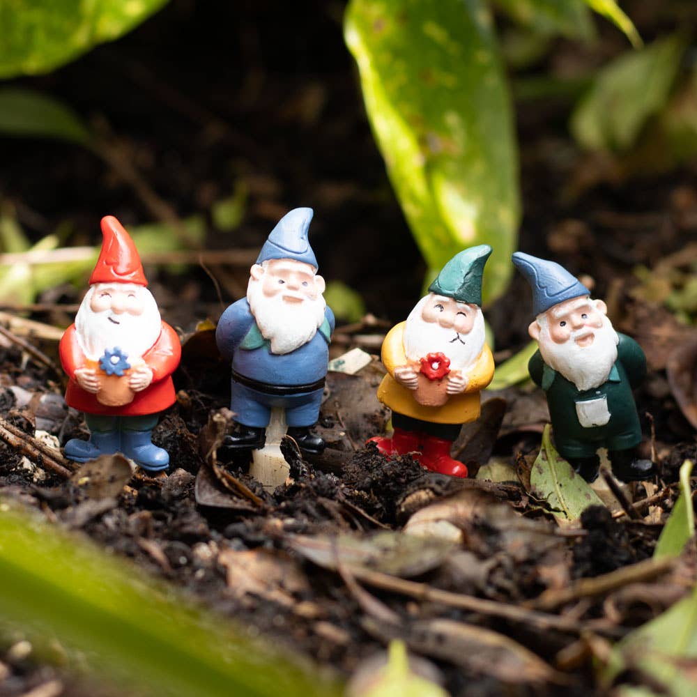 succulent gnomes Mini Gnome Plant Pot Pals – Mari's Gardens