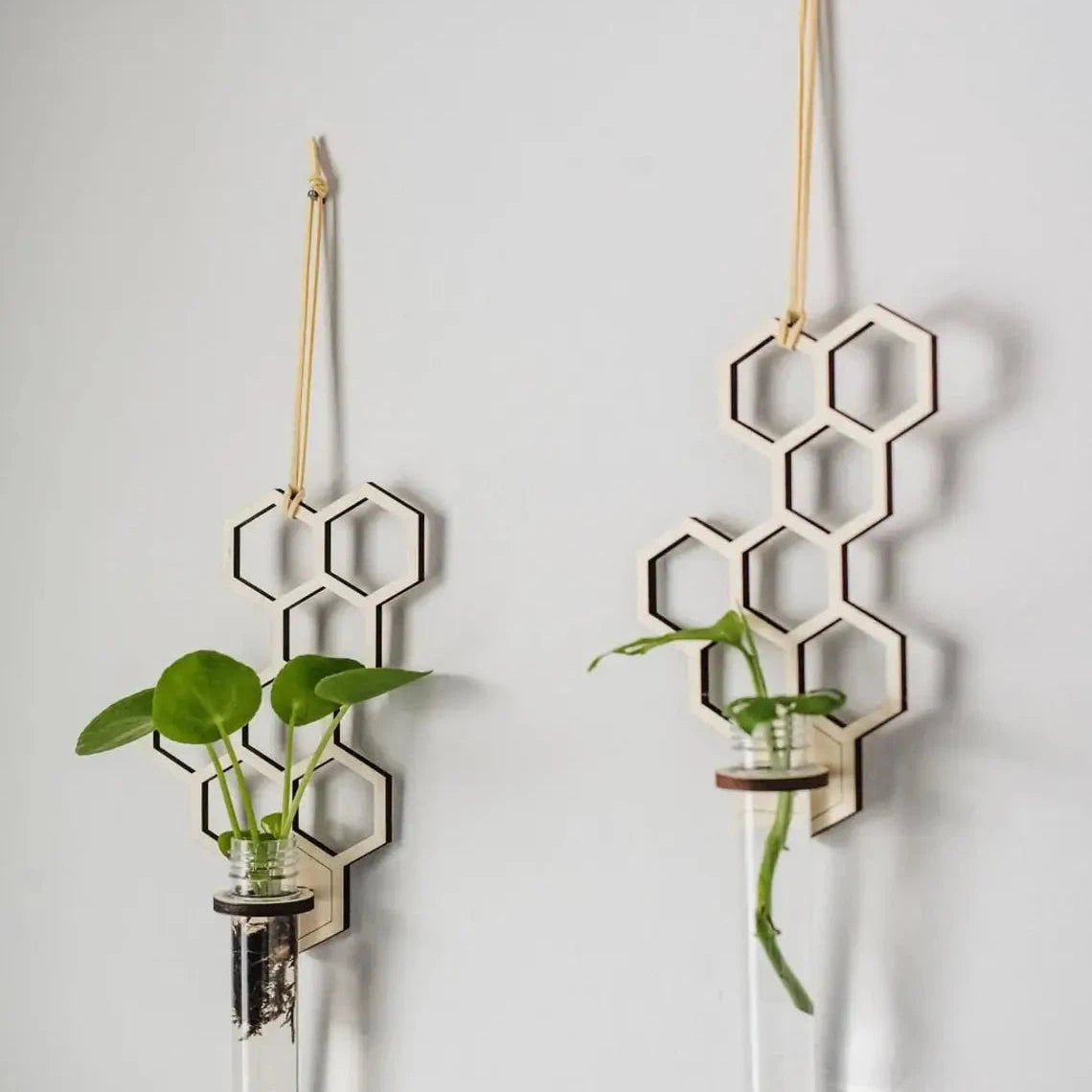 hanging plant propagation Honeycomb Hanging Propagation Station (1 tube)