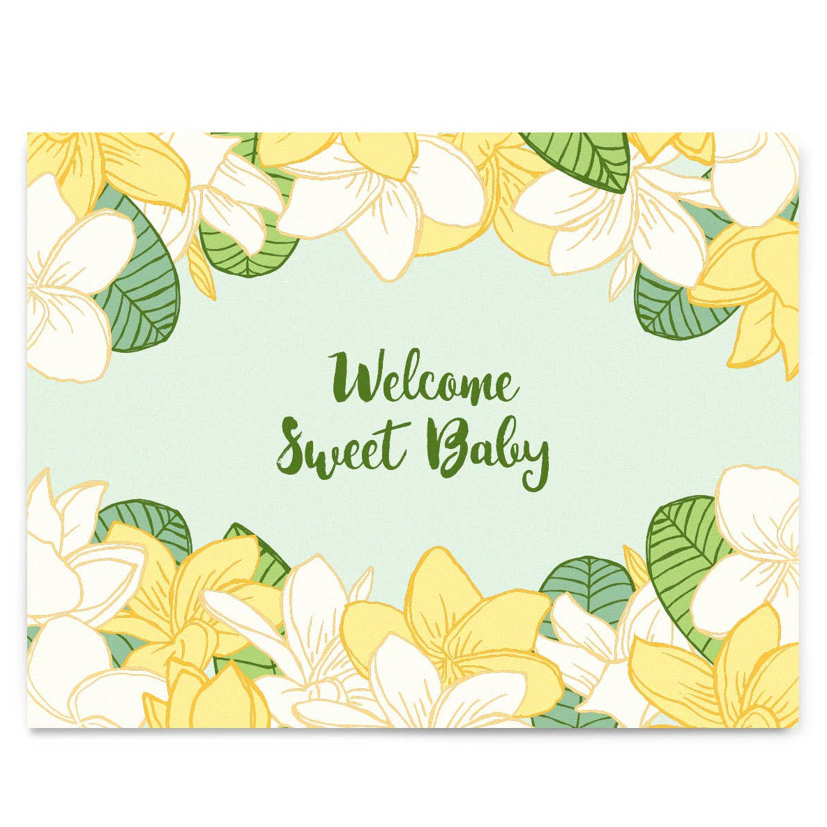 Welcome Sweet Baby Plumeria