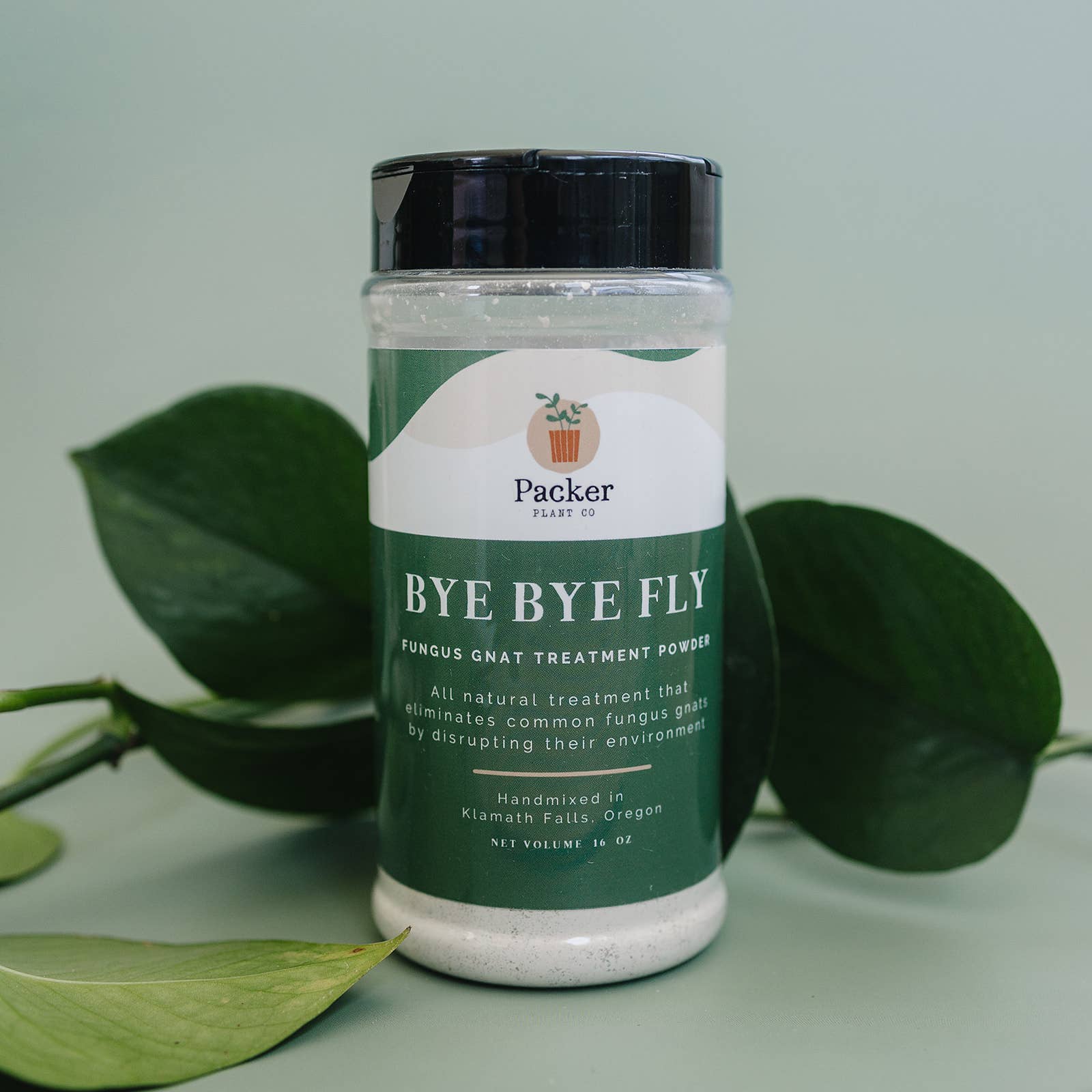 treating house plants for gnats Bye Bye Fly