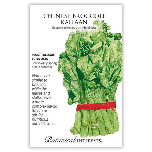 Broccoli Chinese seeds, "Kailan"
