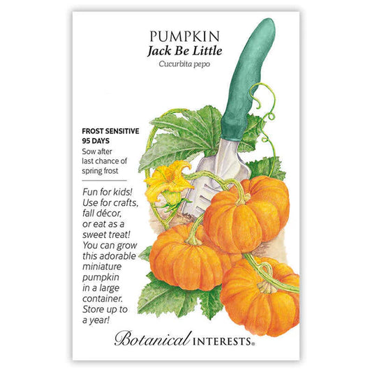 Pumpkin seeds, "Jack Be Little"