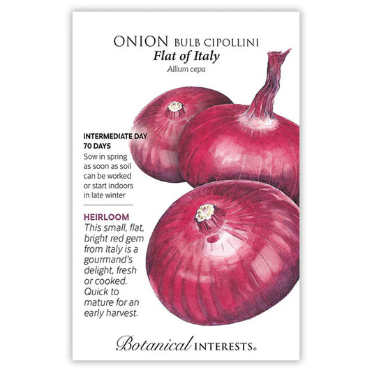 Onion Bulb seeds, "Red Flat of Italy"