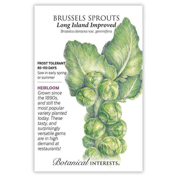 Brussels Sprouts seeds, "Long Island Imp"