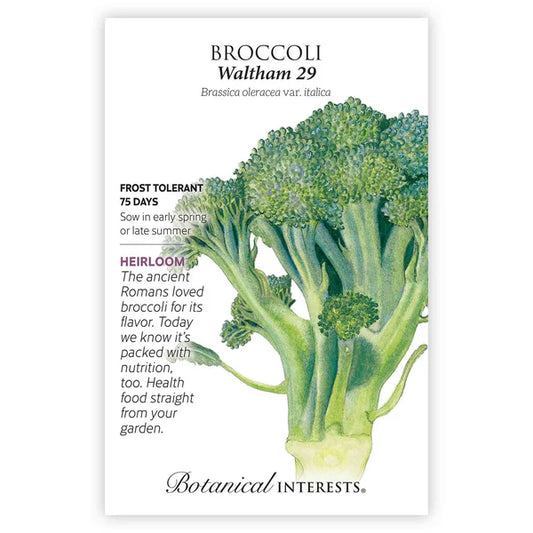 Broccoli seeds, "Waltham"