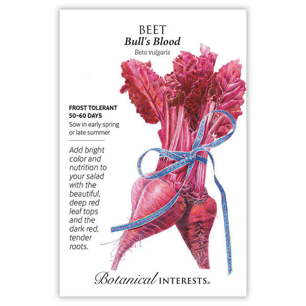Beets seeds, "Bulls Blood"