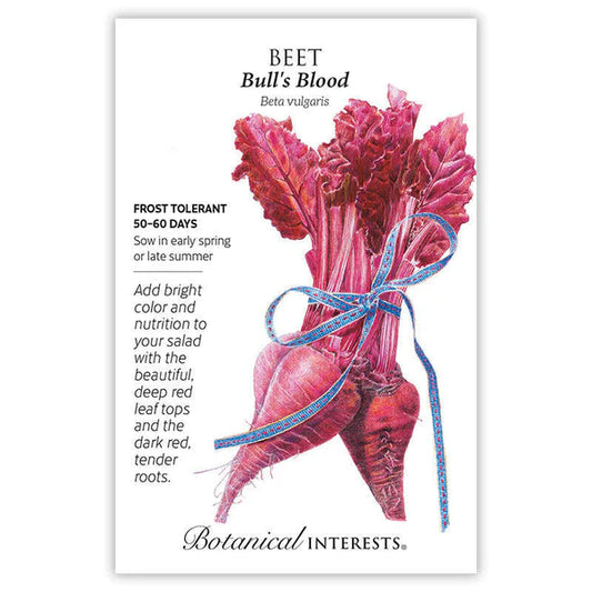 Beets seeds, "Bulls Blood"