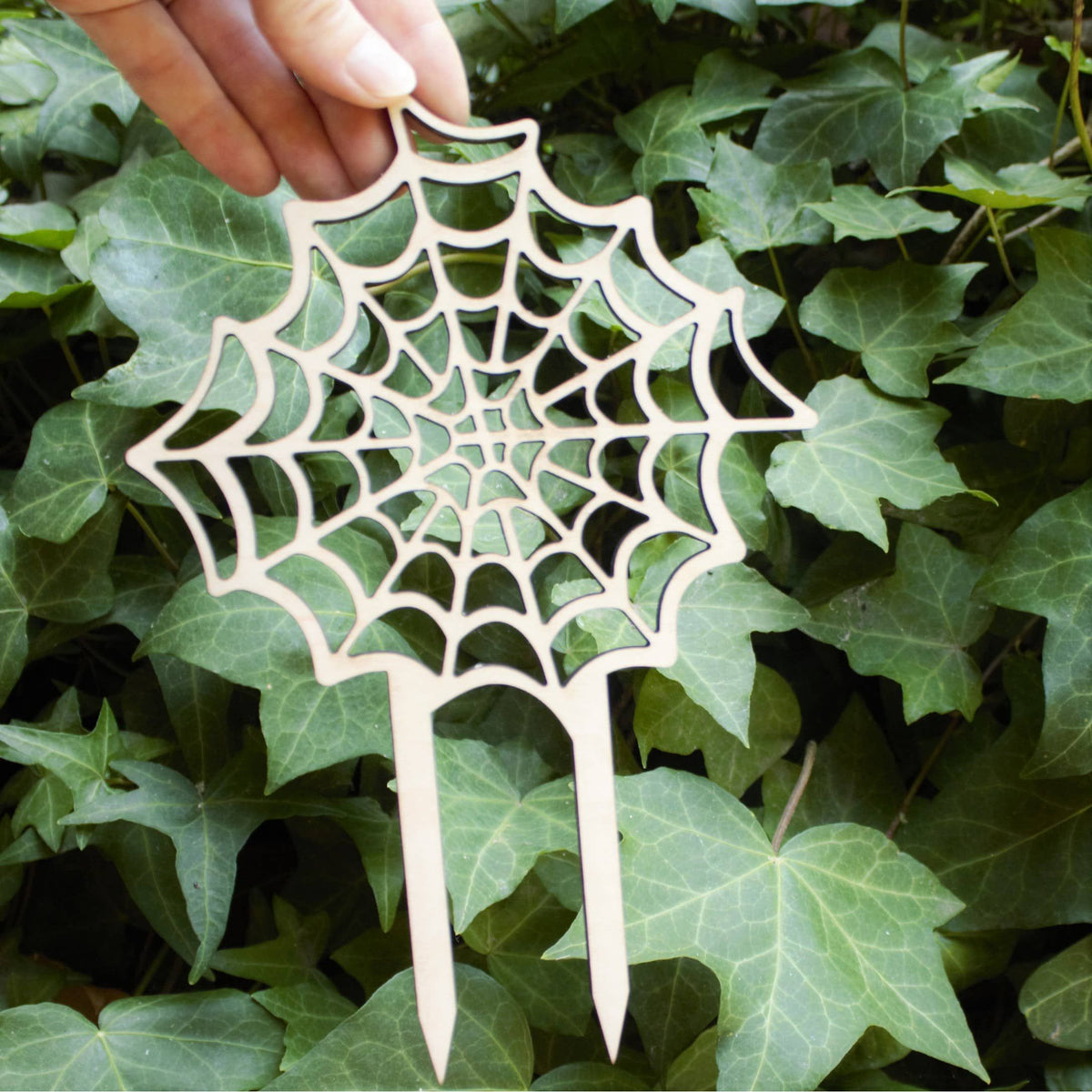 Spiderweb Plant Trellis