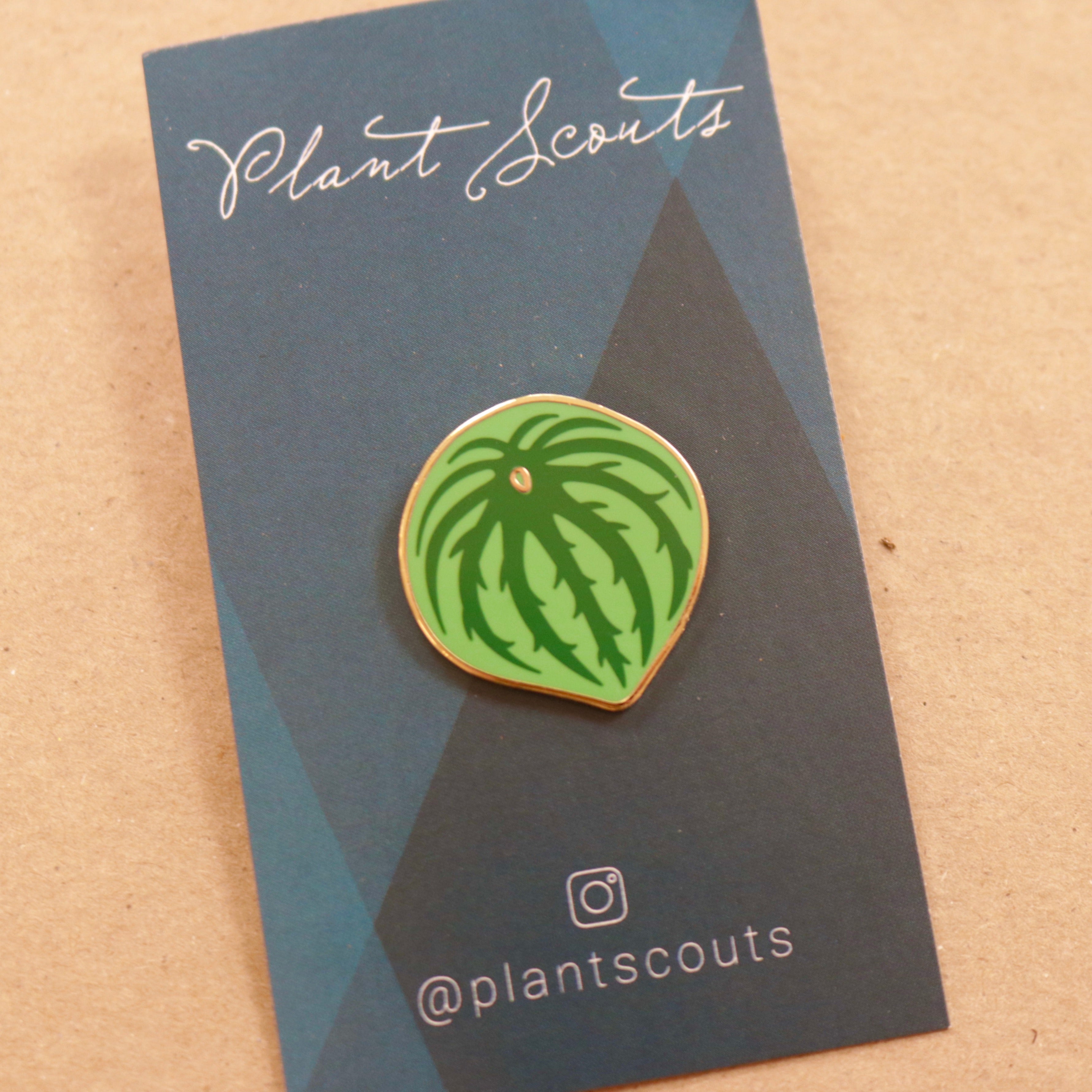 Peperomia Watermelon Enamel Pin – Mari's Gardens