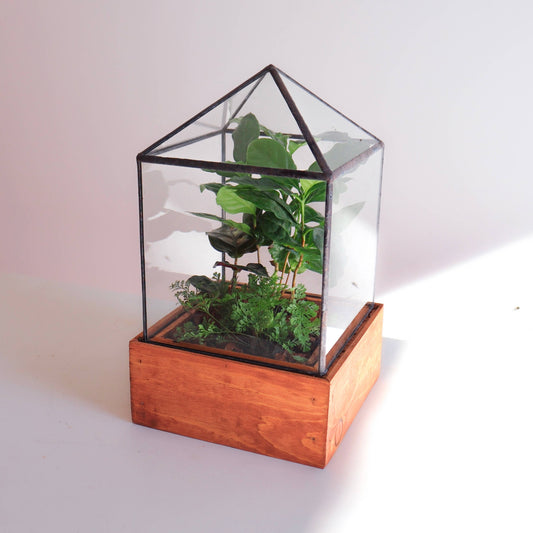 Dorman Handmade Glass Terrarium