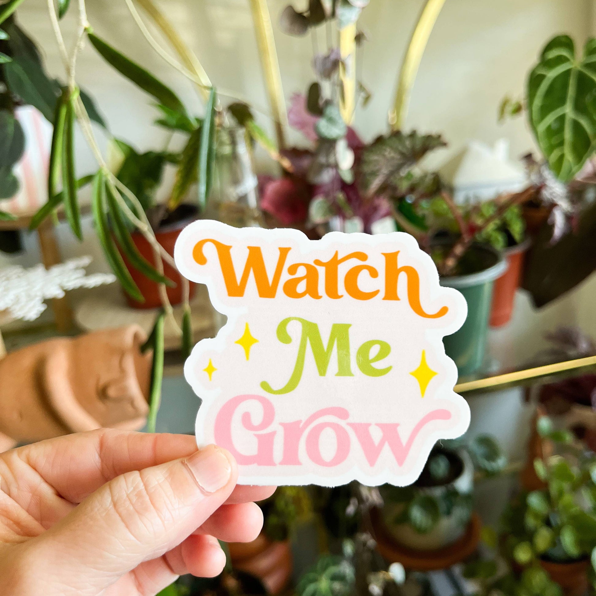 succulent watch me grow Watch Me Grow Sticker – Mari's Gardens