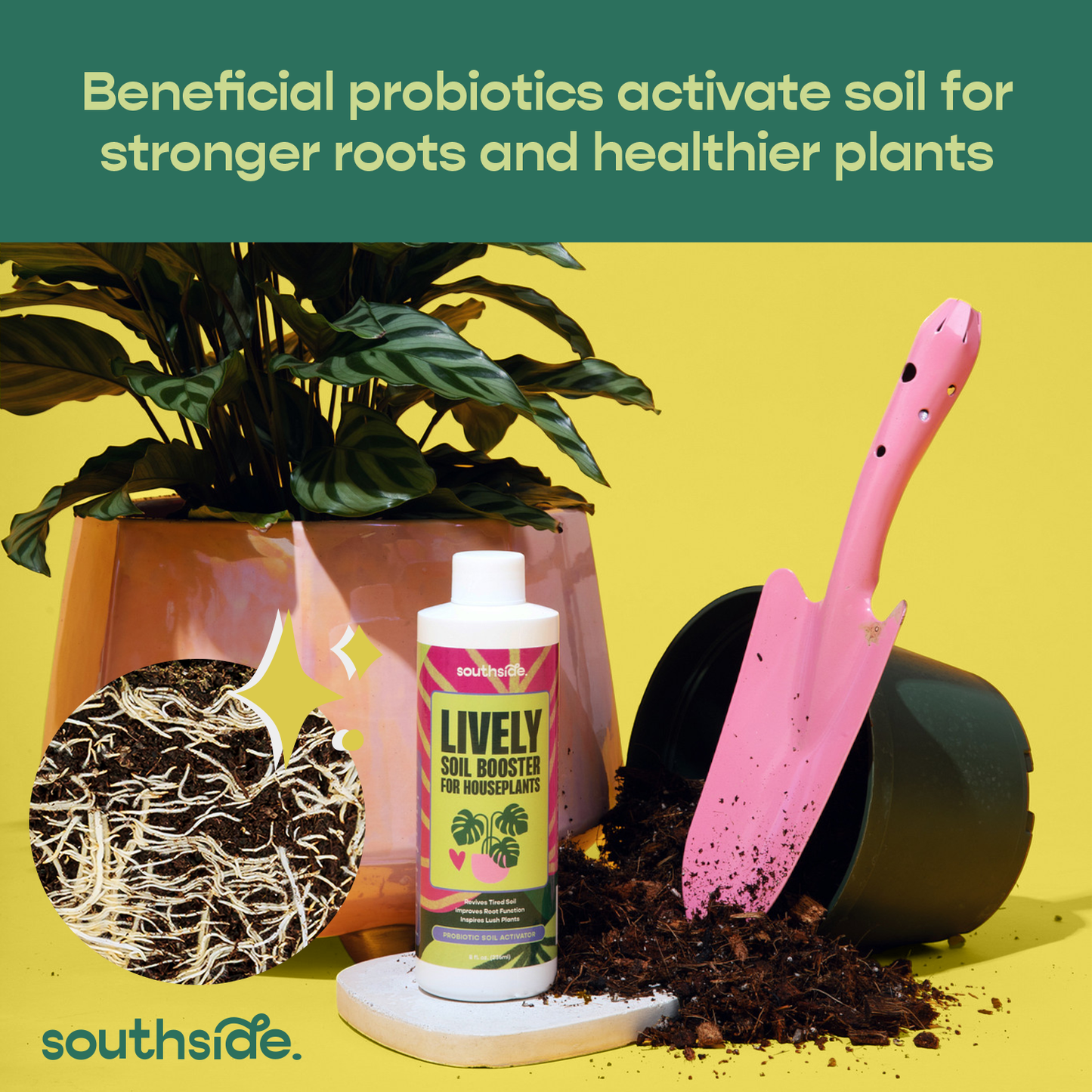 Lively Soil Booster for Houseplants