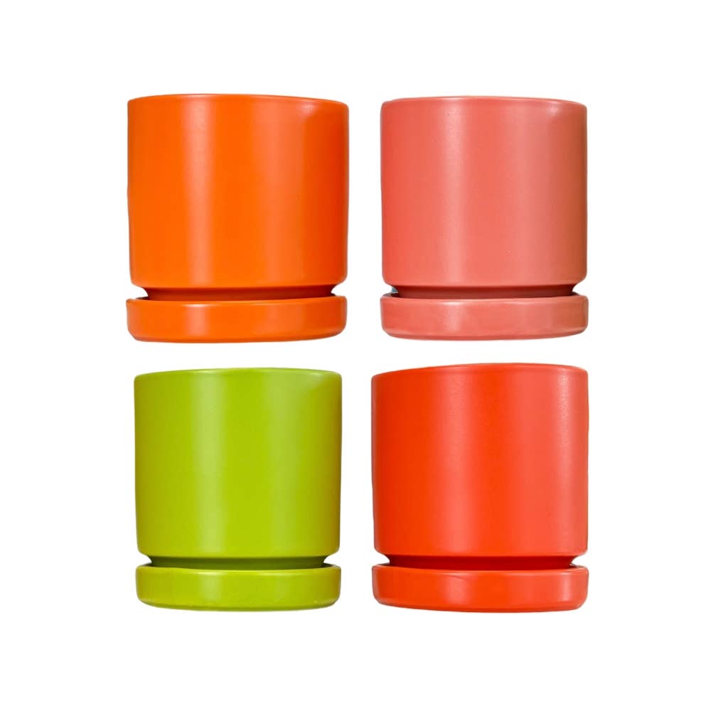 Citrus Cylinder Pots with Saucers