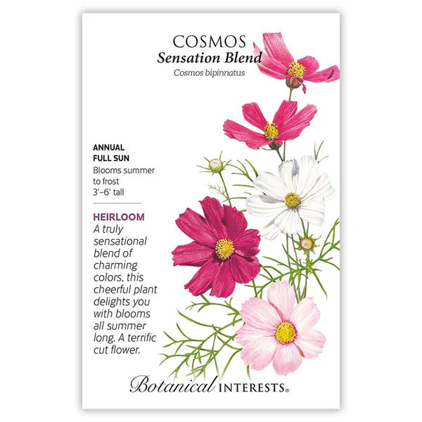 Cosmos seeds, "Sensation Blend"